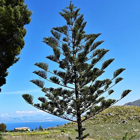 Rustico La Maidda